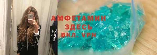 мет Алексин