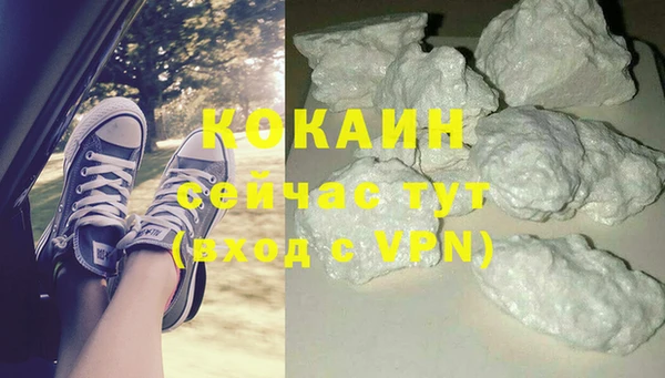 стаф Пестово