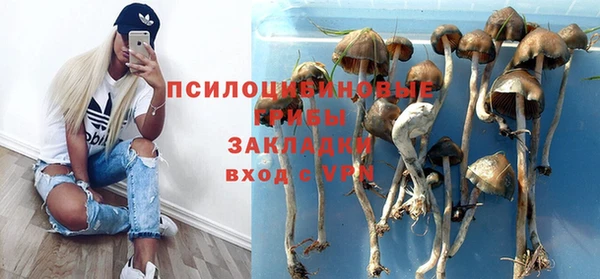 мет Алексин