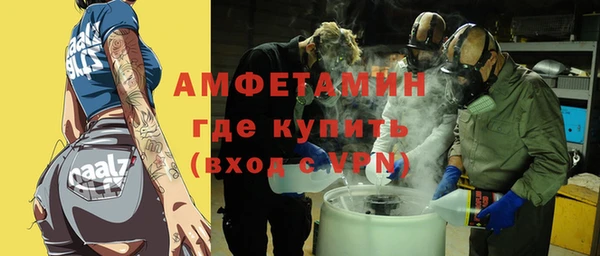 мет Алексин