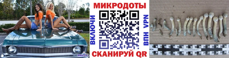 МЕГА   закладки  Невинномысск  Псилоцибиновые грибы мухоморы 