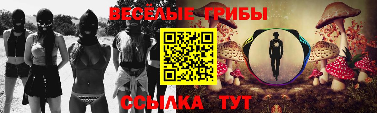 Галлюциногенные грибы прущие грибы Невинномысск