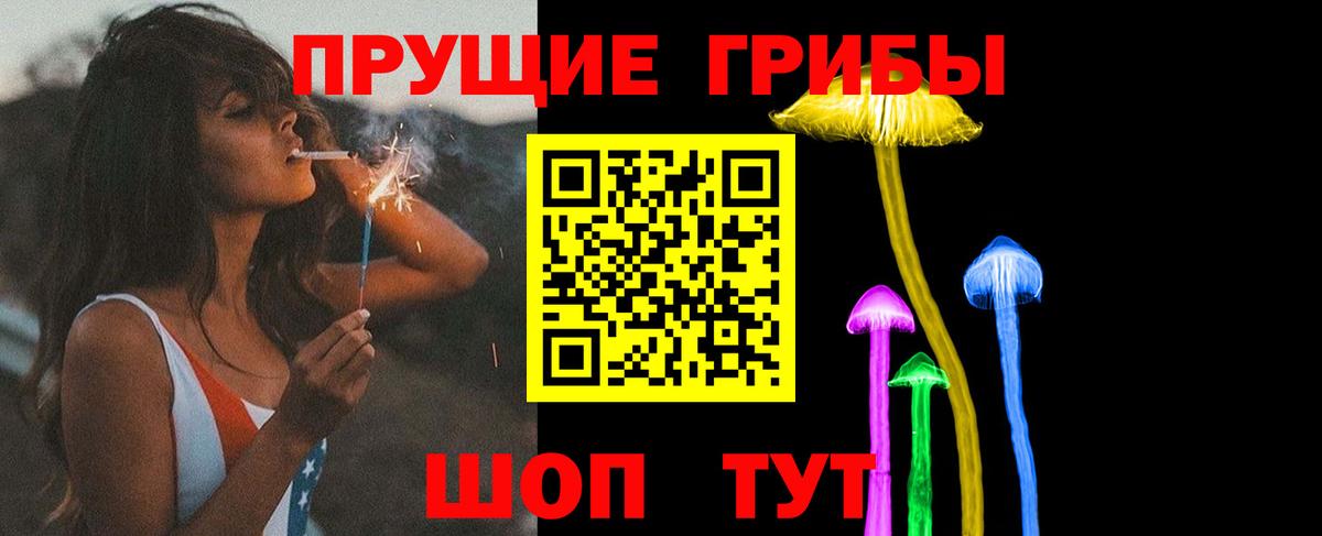 Галлюциногенные грибы Psilocybe  Вход с VPN  Невинномысск 